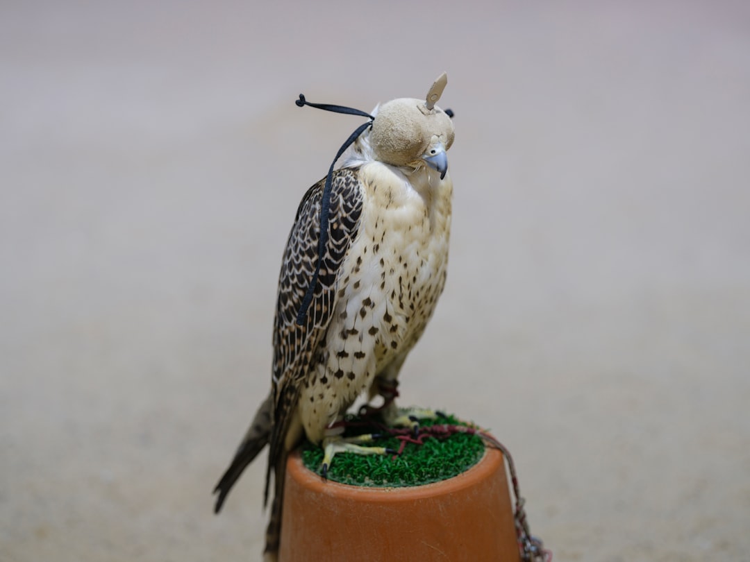 CrowdStrike Falcon, how to reduce alerts CrowdStrike Falcon, SIEM-friendly logging with retention policies and repositories