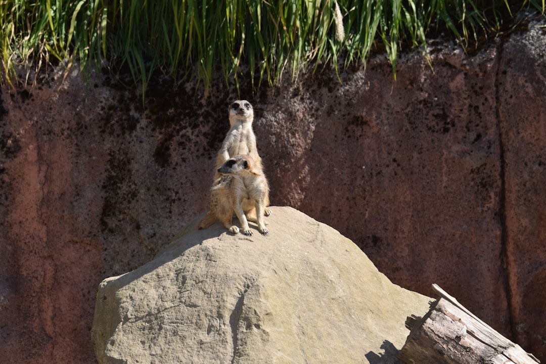 Suricata, how to reduce alerts Suricata, SIEM-friendly logging with retention policies and repositories